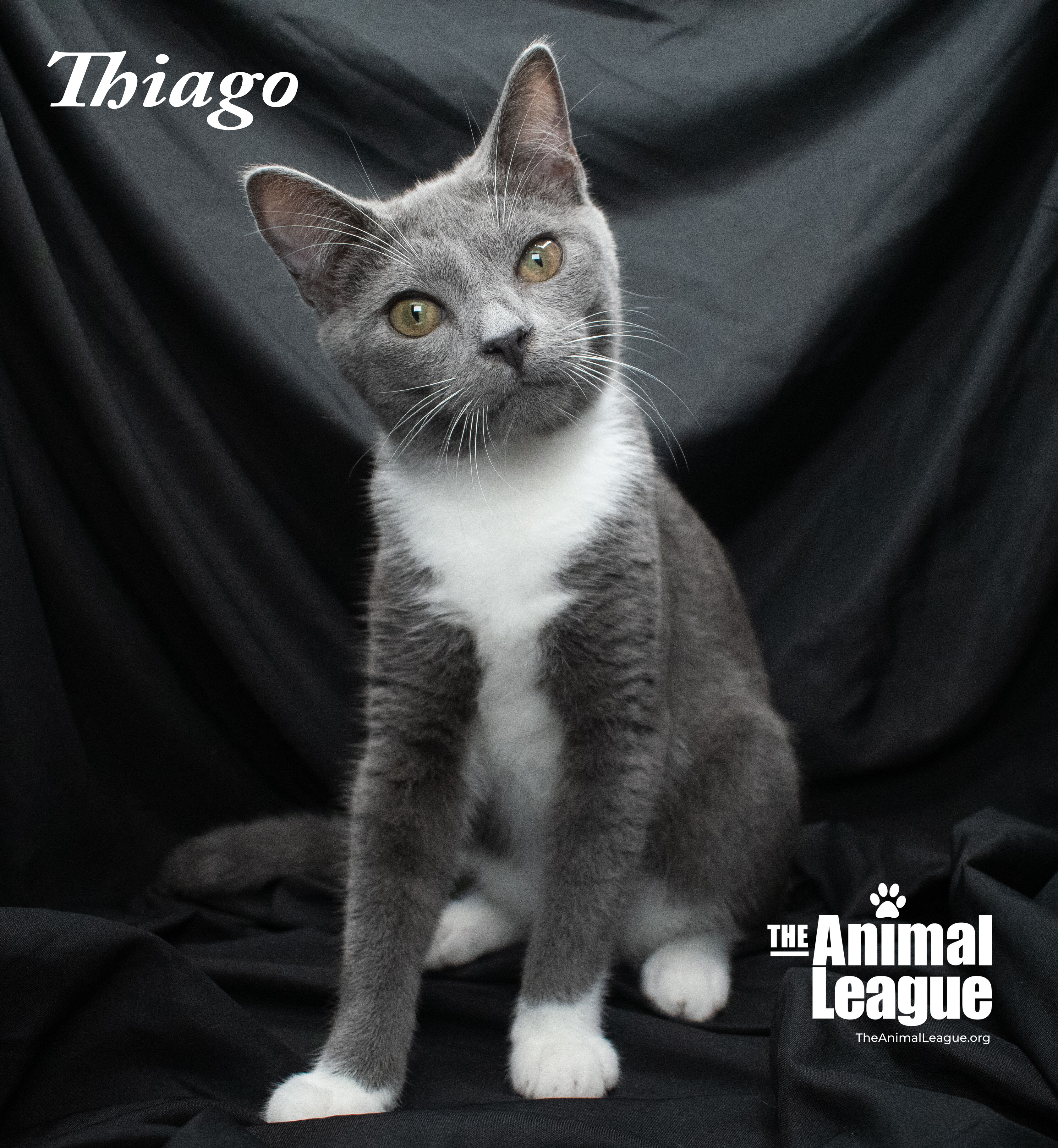 Thiago detail page