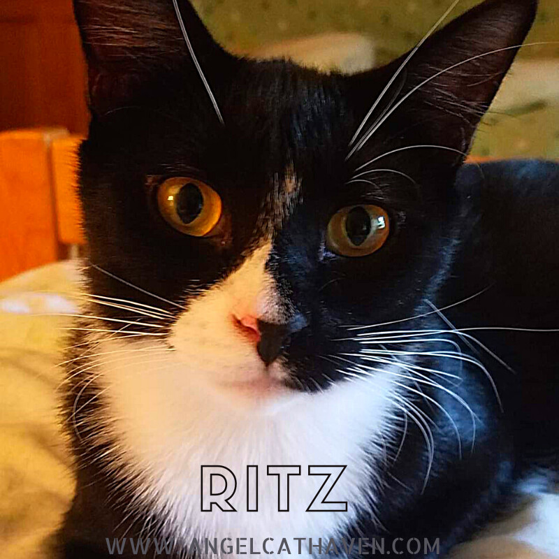 Ritz detail page