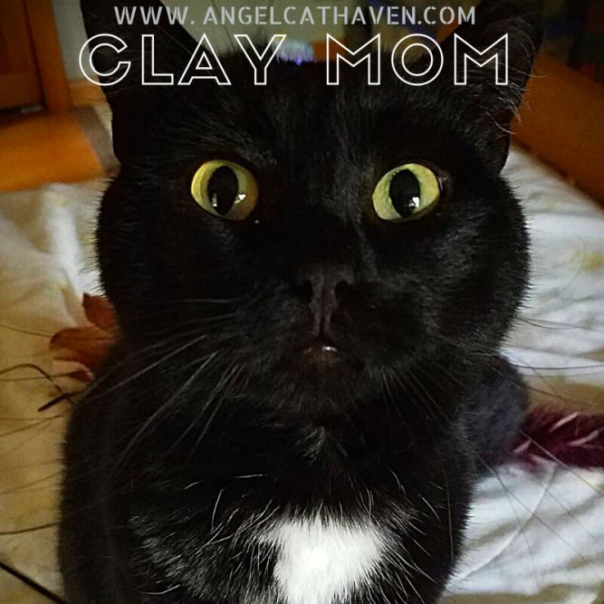 Clay Mom