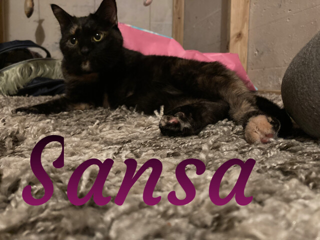 Sansa & Ayra 3