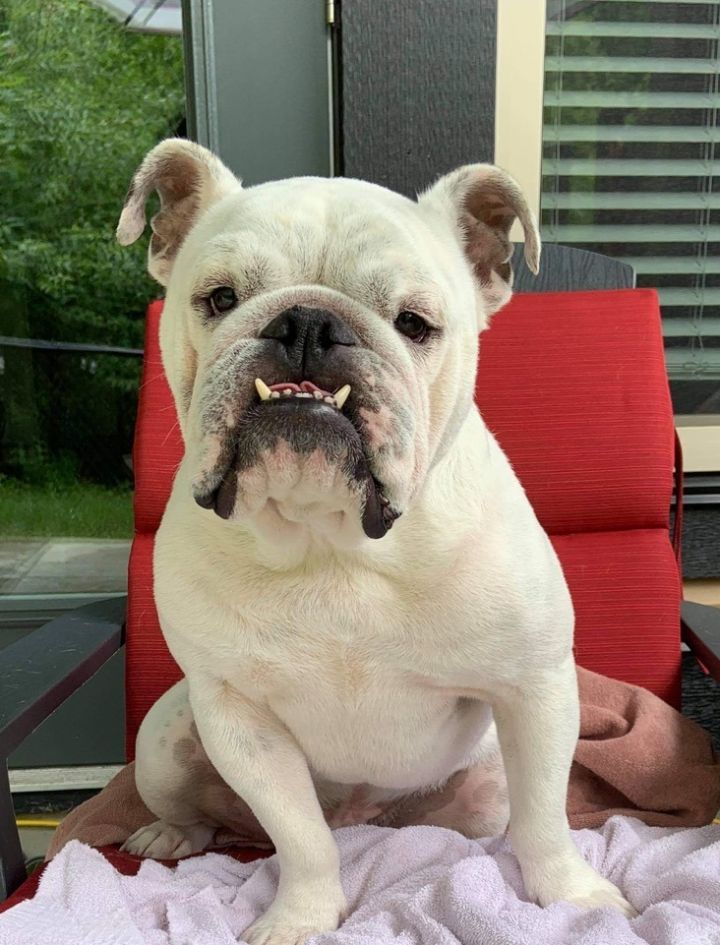 Milo 1