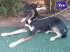 Kye aka Storm photo 4