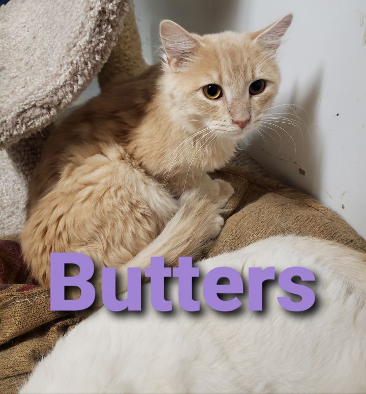 Butters 1