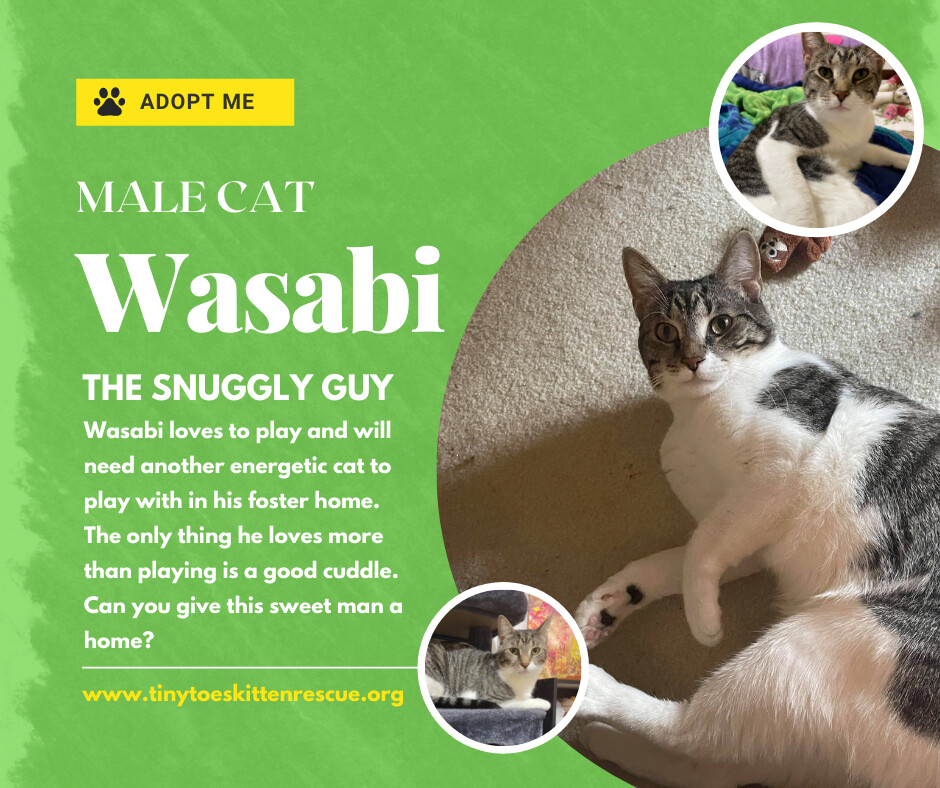 Wasabi detail page