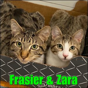 Zara & Frasier