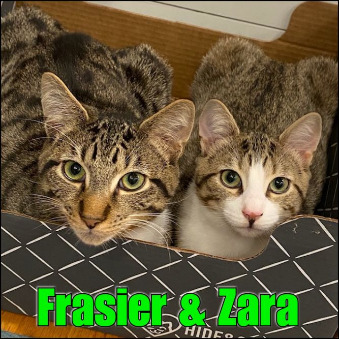 Zara & Frasier