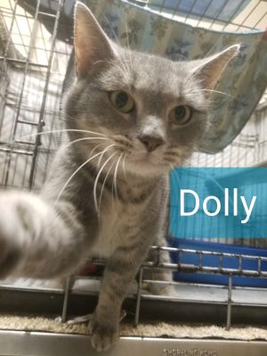 Dolly (Jessica's foster)