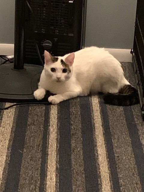 CASPER aka Cute Butt