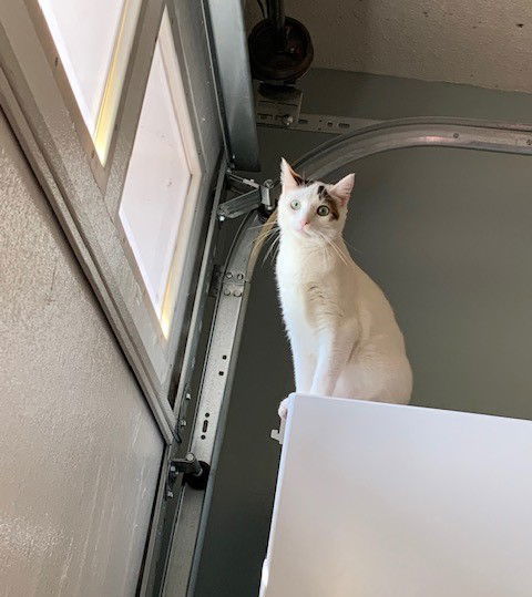 CASPER aka Cute Butt