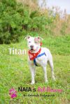 Titan photo 2