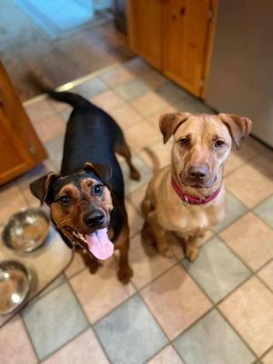 Jane and Elsa *HERE IN NH*