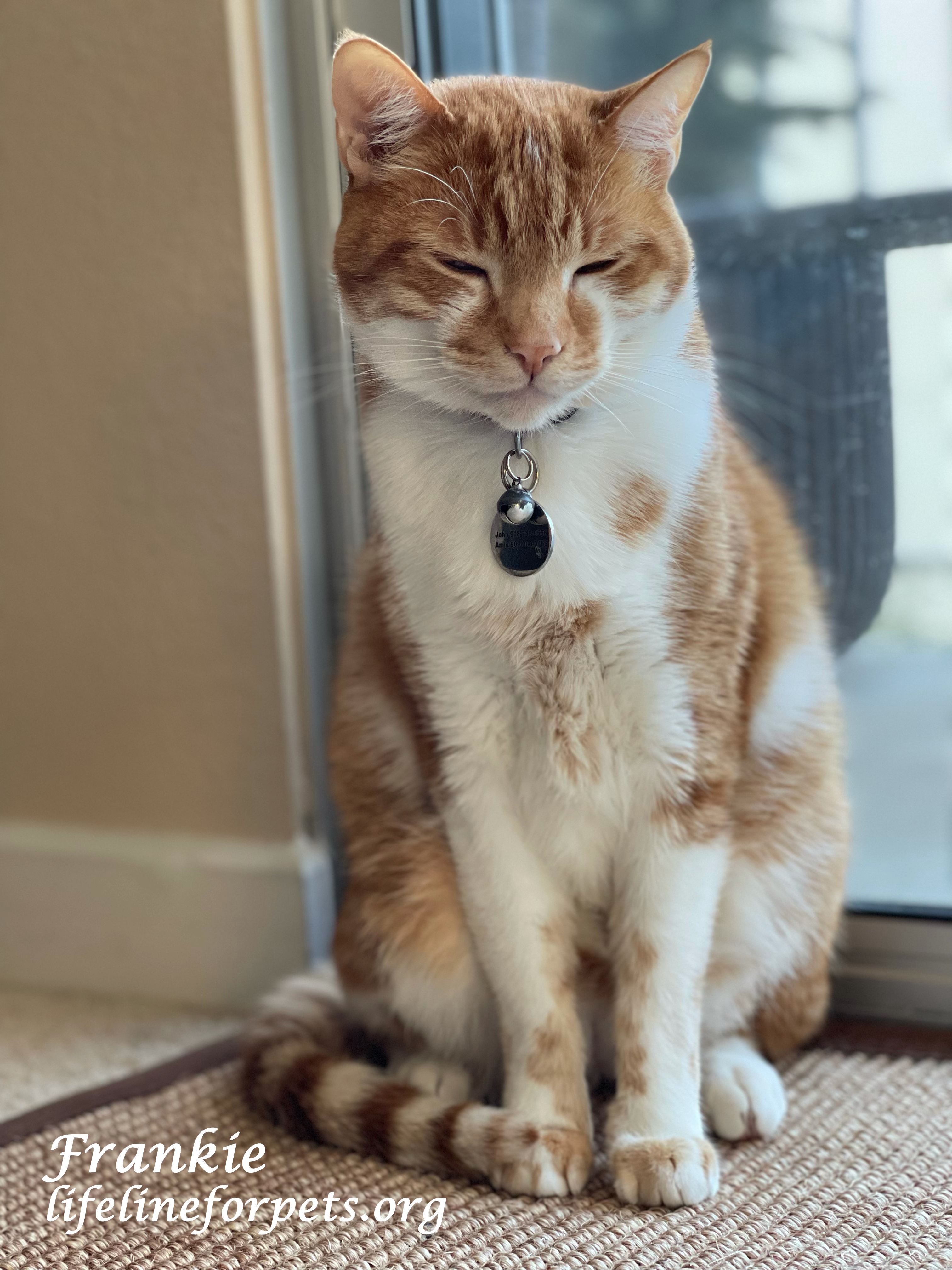 Friendly FRANKIE!