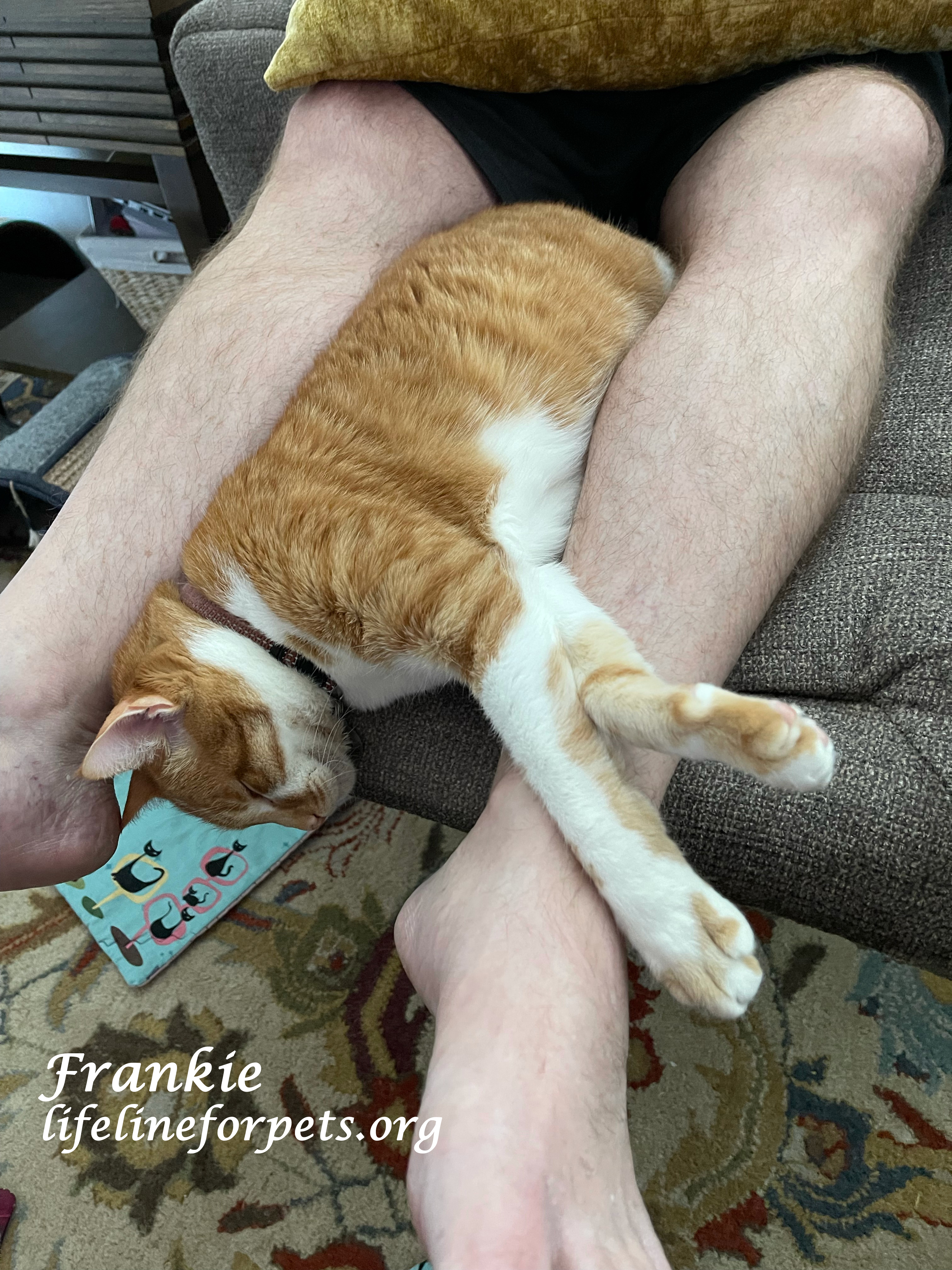Friendly FRANKIE!