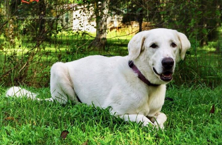Nala  3