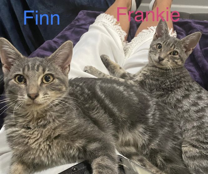Frankie and Finn