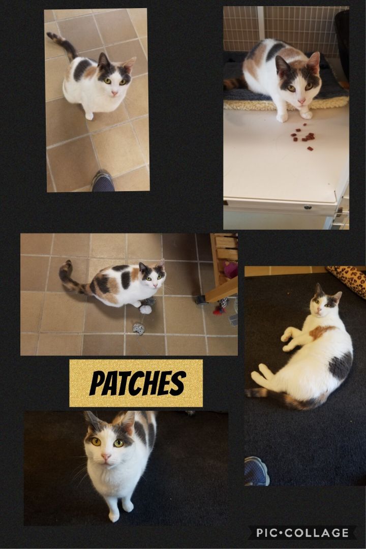 Patches 1