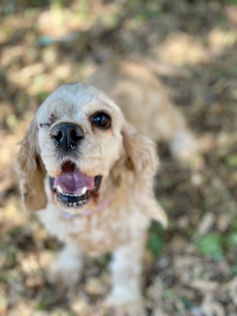 Fiona