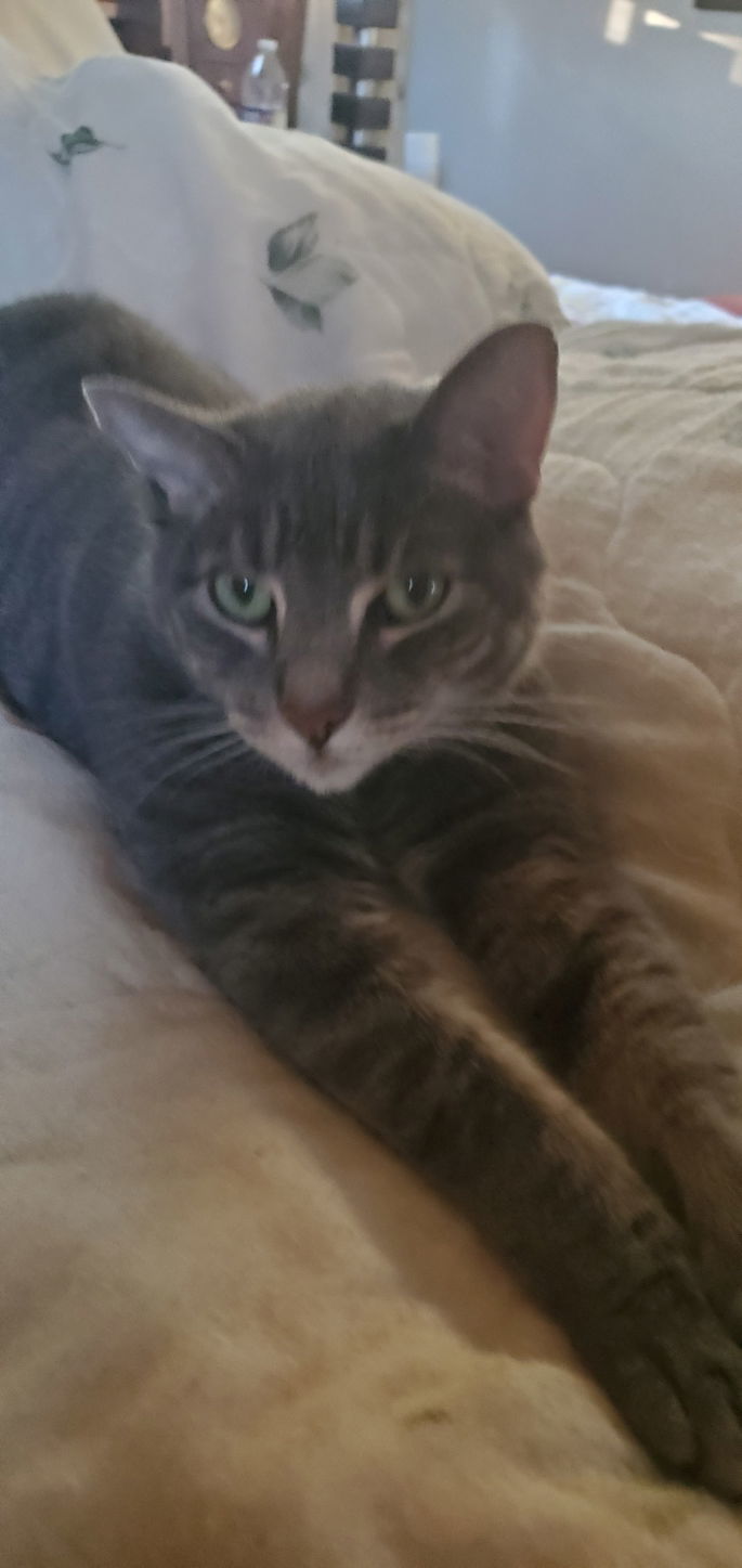 Abner - COURTESY POST