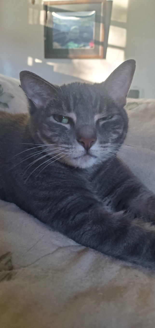 Abner - COURTESY POST