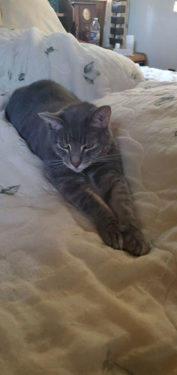 Abner - COURTESY POST