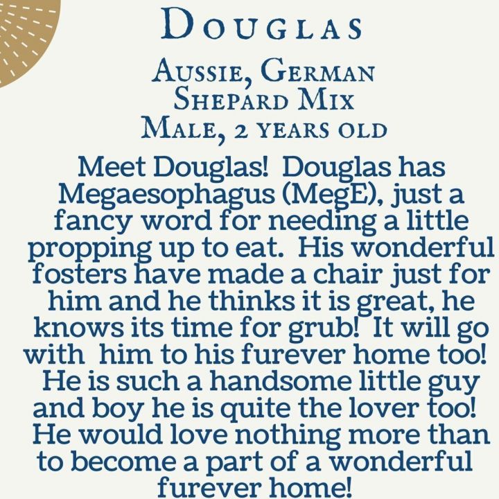 Douglas 4