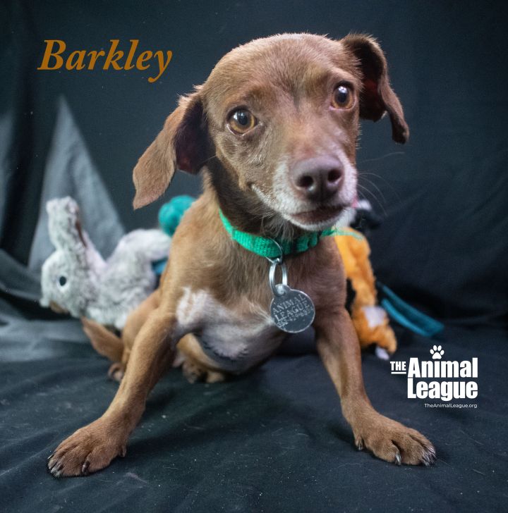 Barkley 1