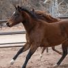 Zina photo 4