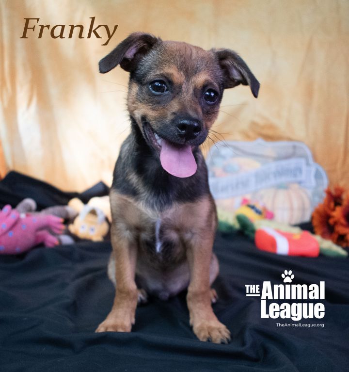 Franky 1