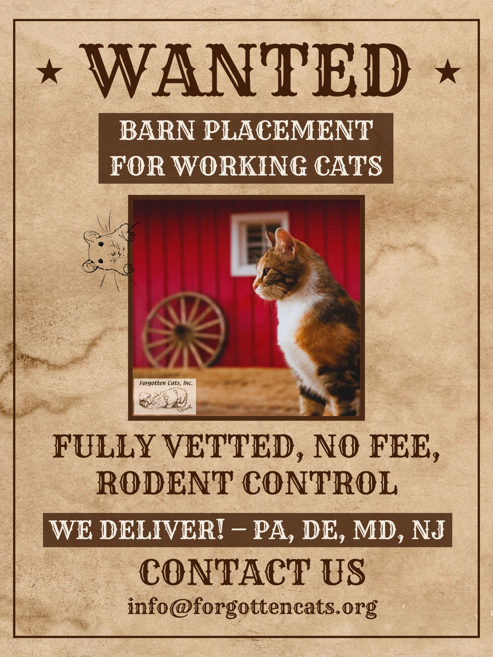 We Have Male and Female Barn Cats!, an adoptable Domestic Short Hair in Greenville, DE, 19807 | Photo Image 1