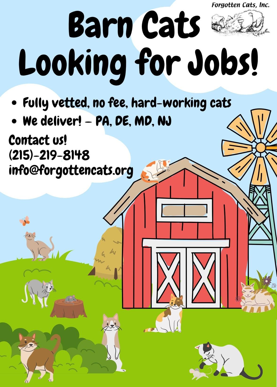 We Have Male and Female Barn Cats!, an adoptable Domestic Short Hair in Greenville, DE, 19807 | Photo Image 2