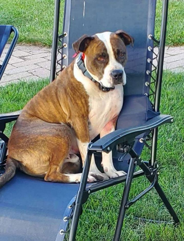 Mugsy 1