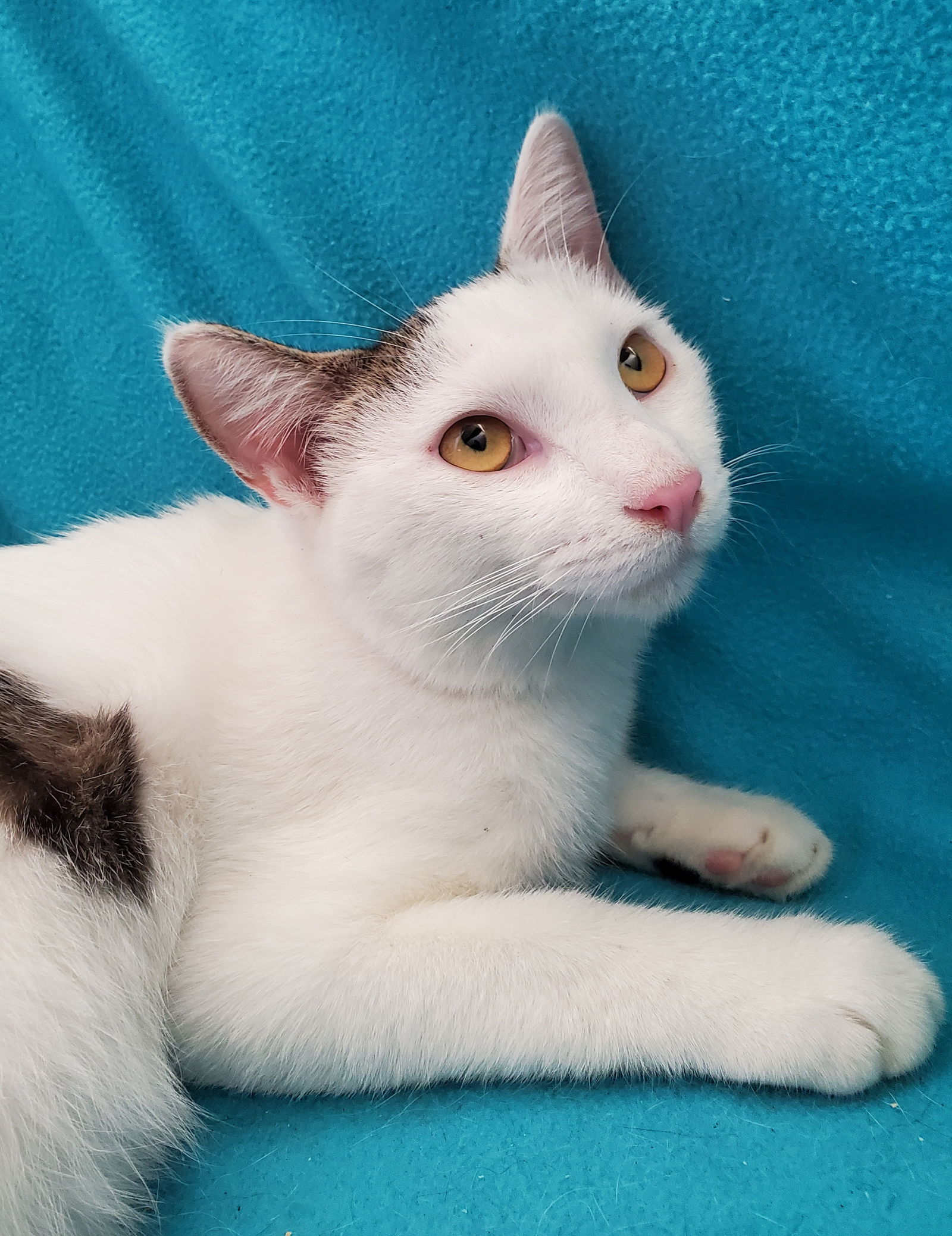 In Memory of Andy - He Was Loved!