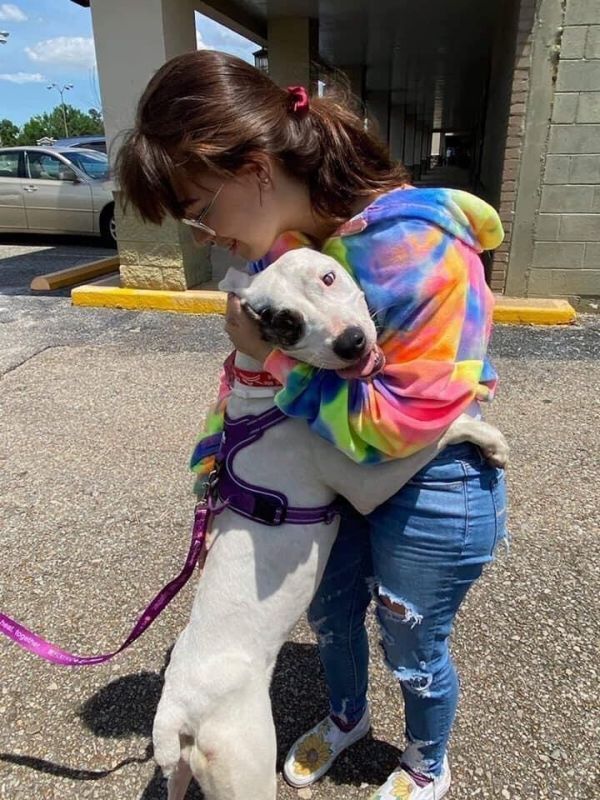 Lolly, an adoptable American Bulldog in Milton, FL, 32583 | Photo Image 6