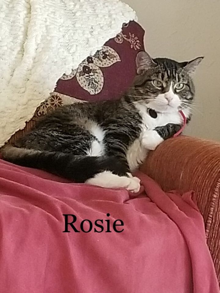 Rosie 1
