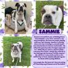 Sammie
