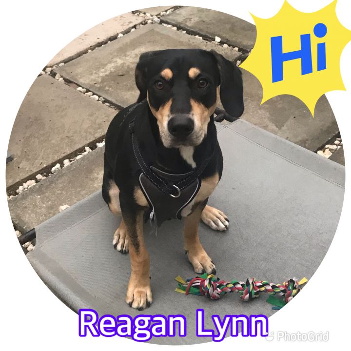 Reagan Lynn 1