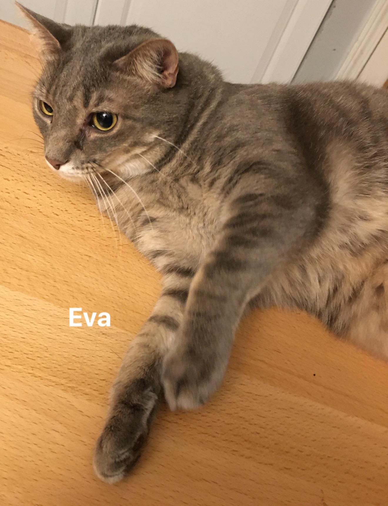 Eva detail page