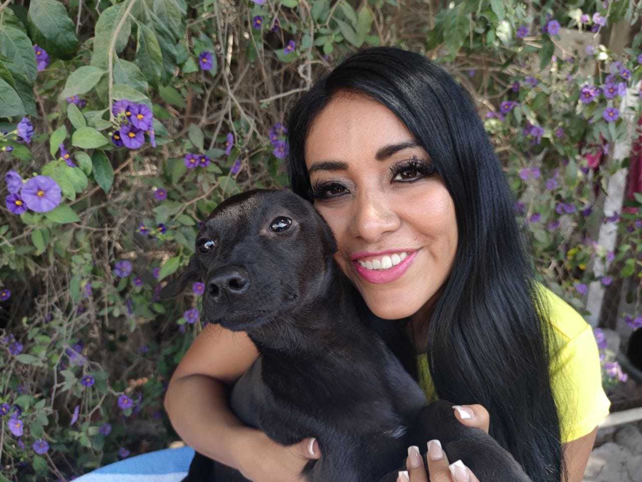 Jaguarr, an adoptable Black Labrador Retriever in San Diego, CA, 92116 | Photo Image 1