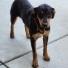 Etta photo 2