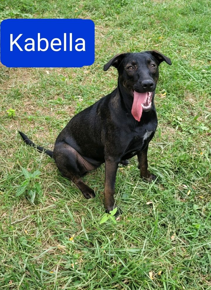 Kabella 1