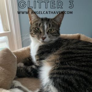 Glitter 3