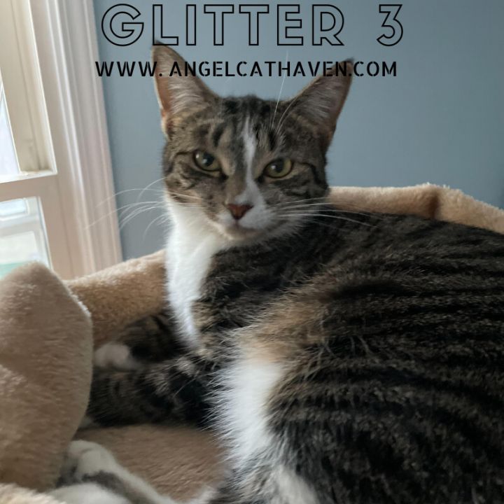 Glitter 3 1