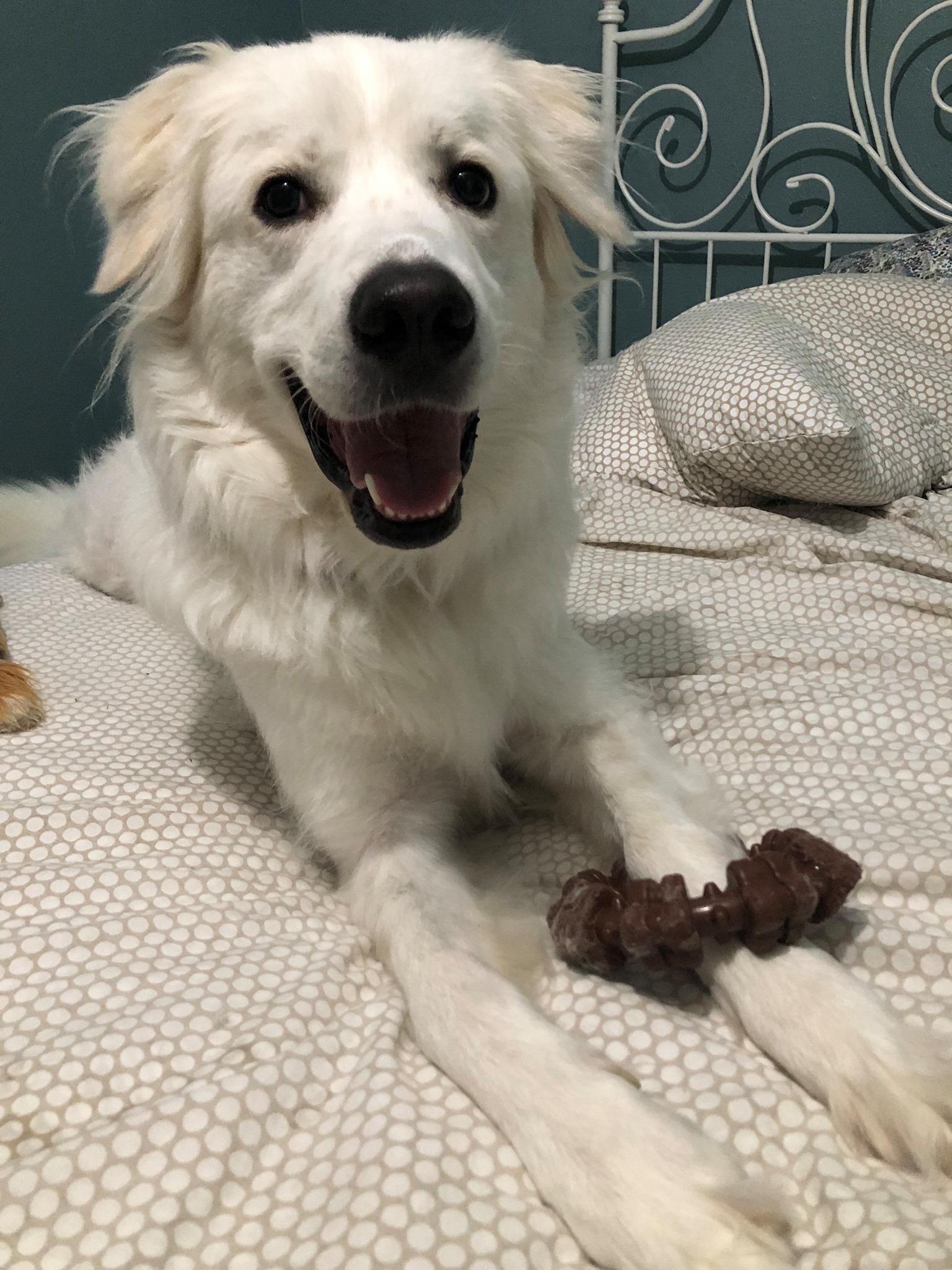 Zoey Yvette AKA Findley DFW