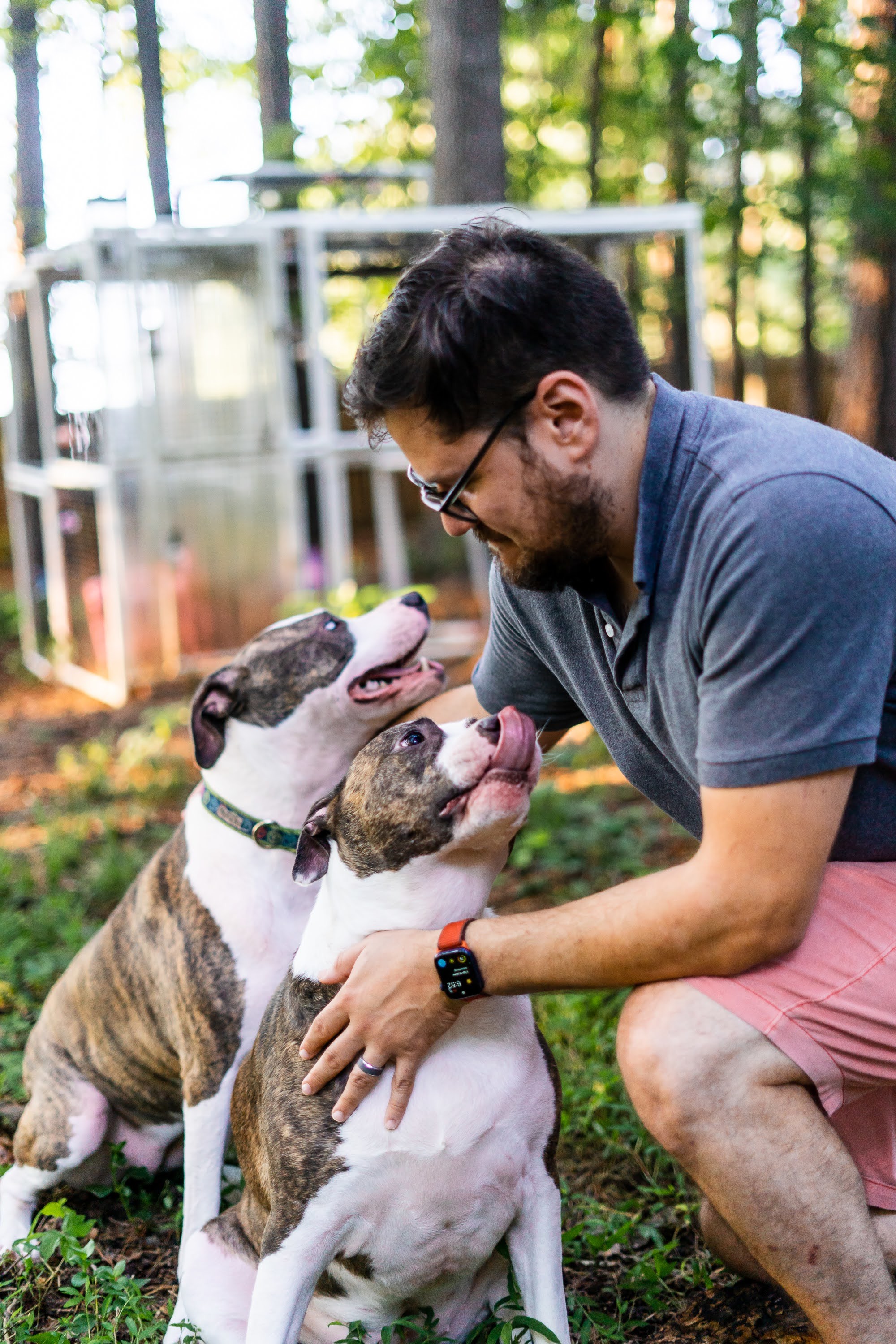 Megan and Zadie, an adoptable Pit Bull Terrier in Raleigh, NC, 27616 | Photo Image 3