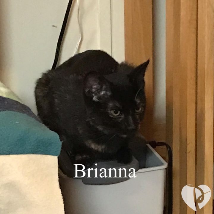 Brianna 2