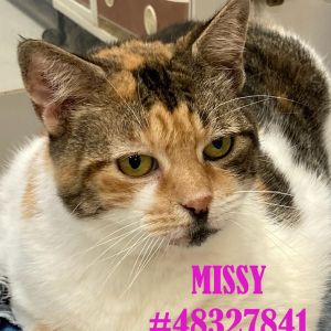 Missy