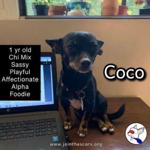 Coco