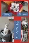 Ling Ming, Mulan, and Zhen