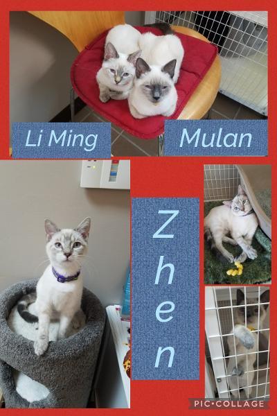 Ling Ming, Mulan, and Zhen 1