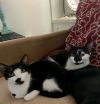 Rollo and Dots Twin Girls